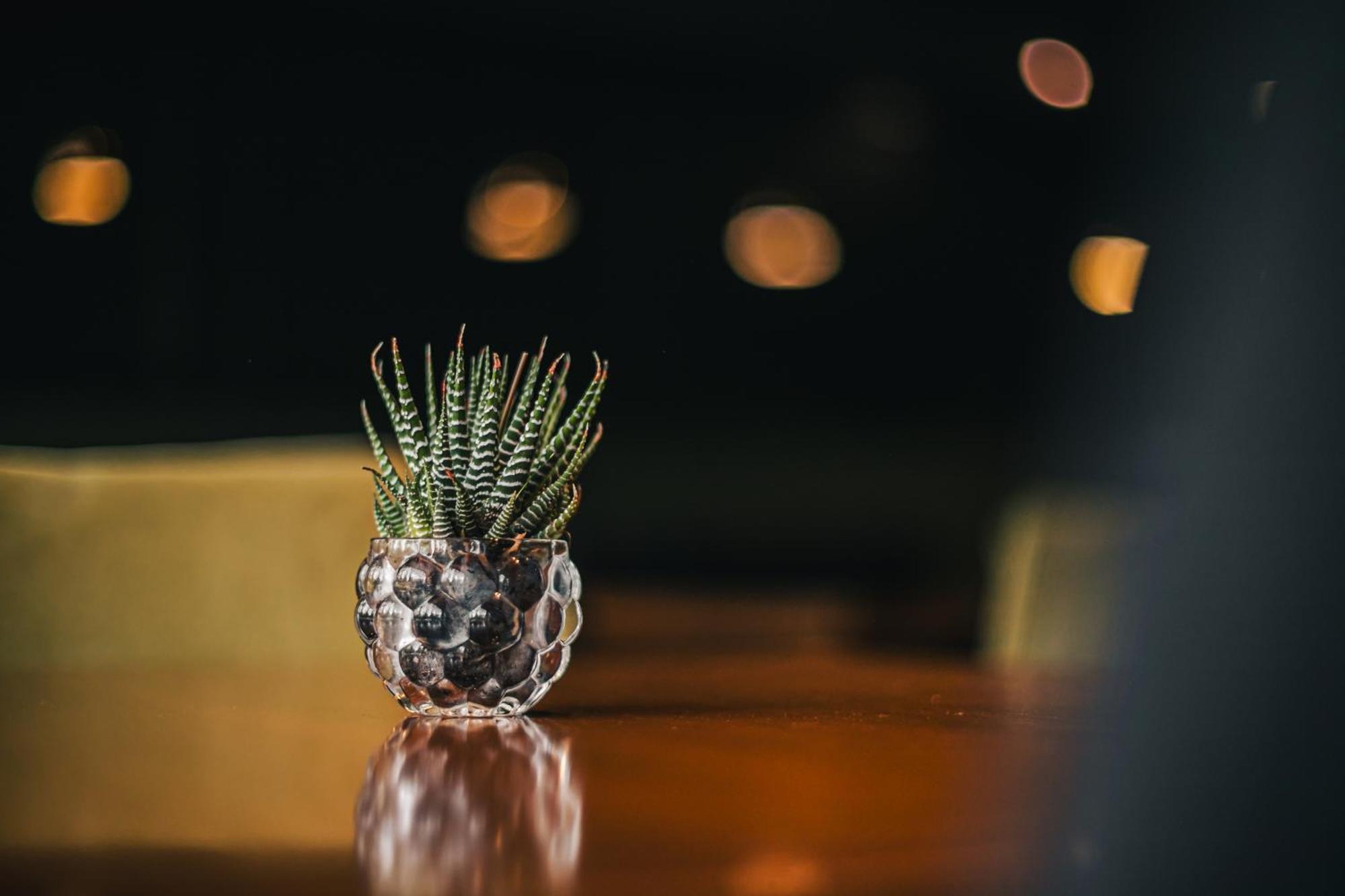 Portal Plaza Suites ميندوزا المظهر الخارجي الصورة